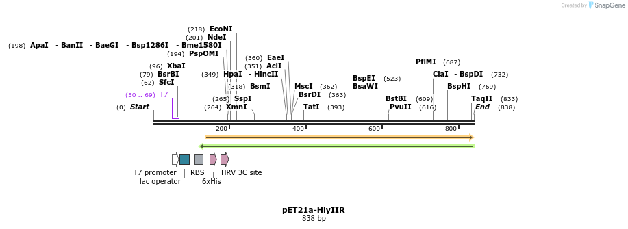 80183_map