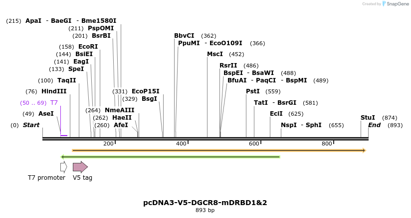80189_map