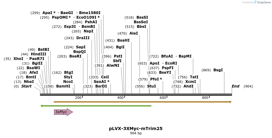 80198_map
