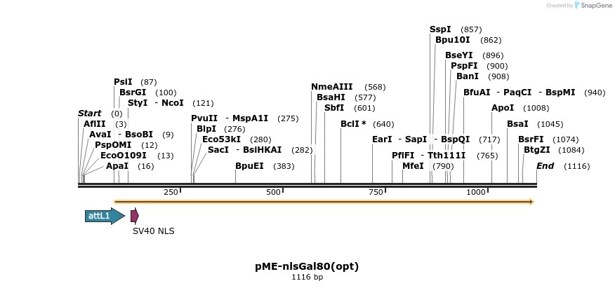 80201_map