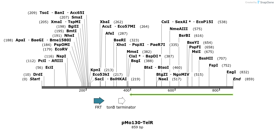 80202_map