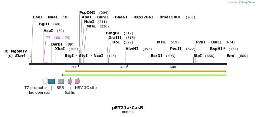 80205_map