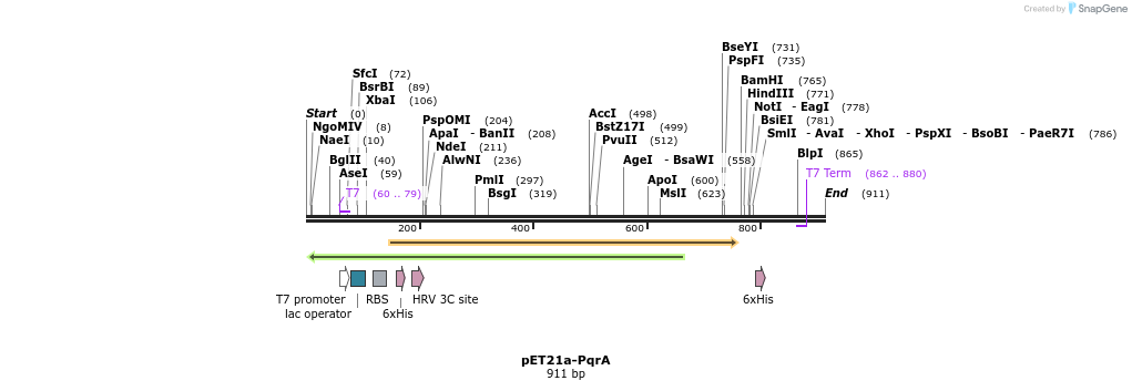 80206_map