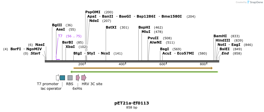 80211_map