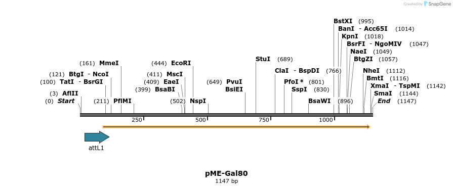 80212_map