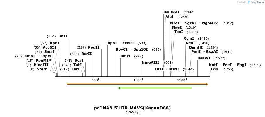 80213_map