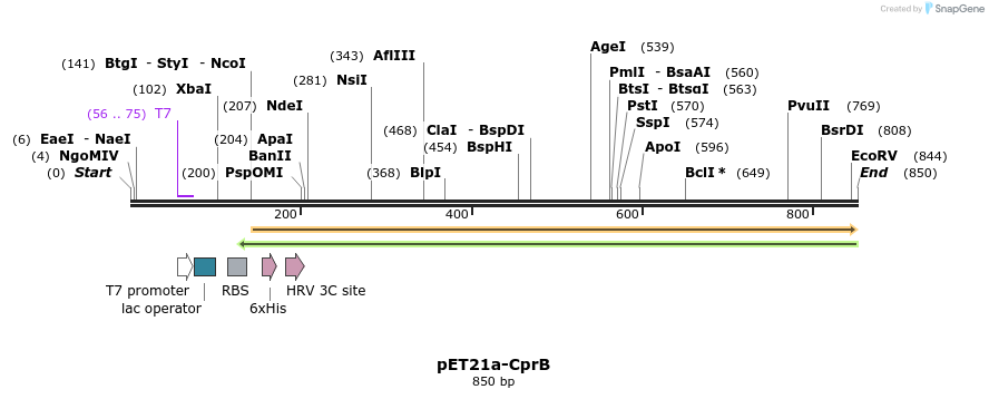 80216_map