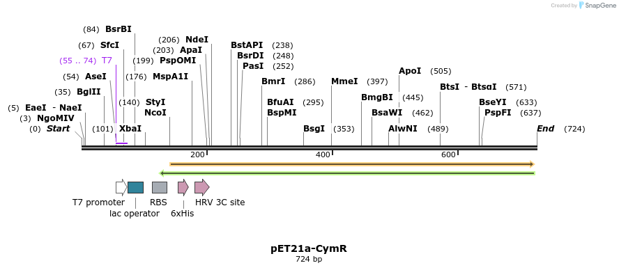 80217_map