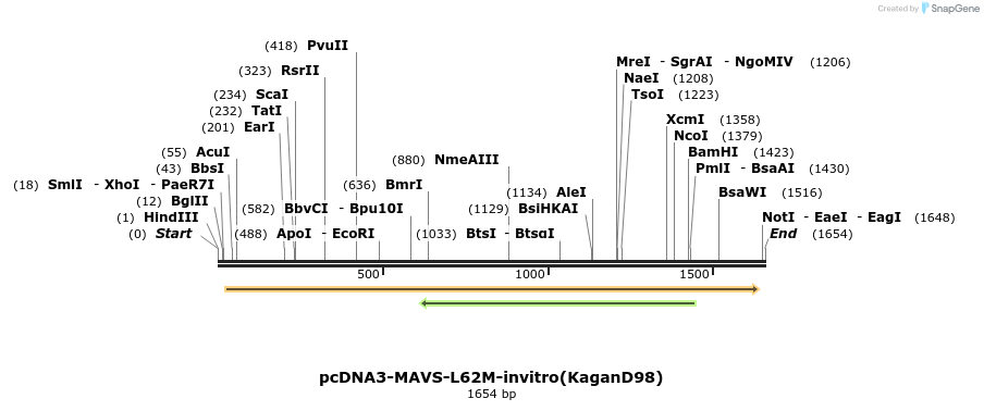 80221_map