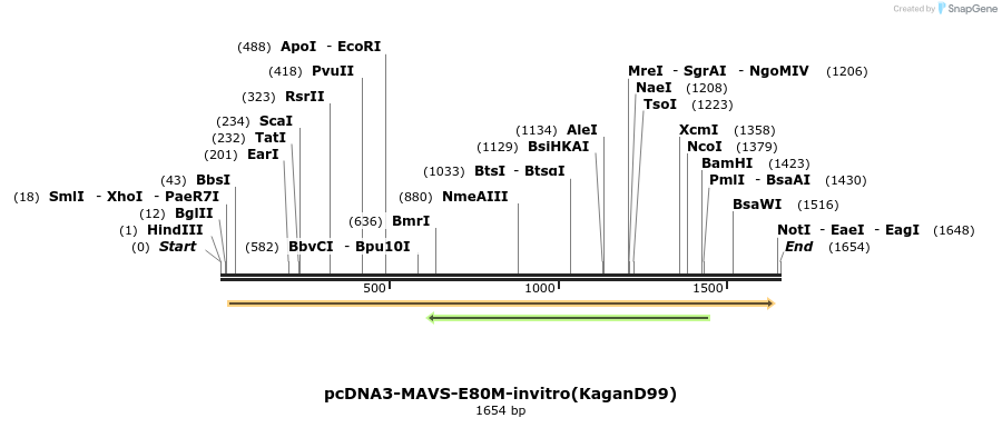 80223_map