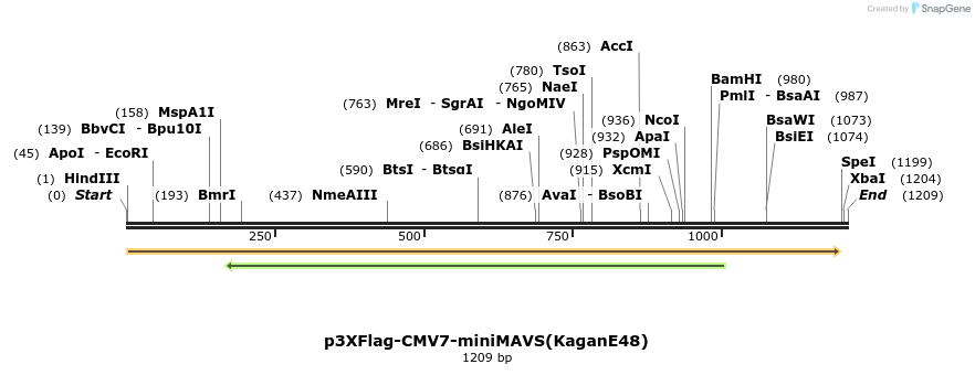 80225_map