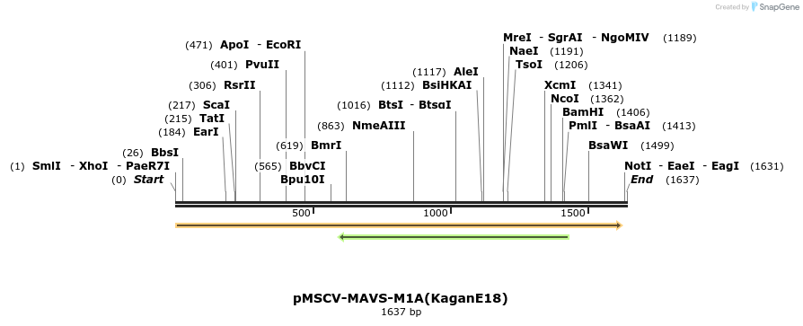 80228_map