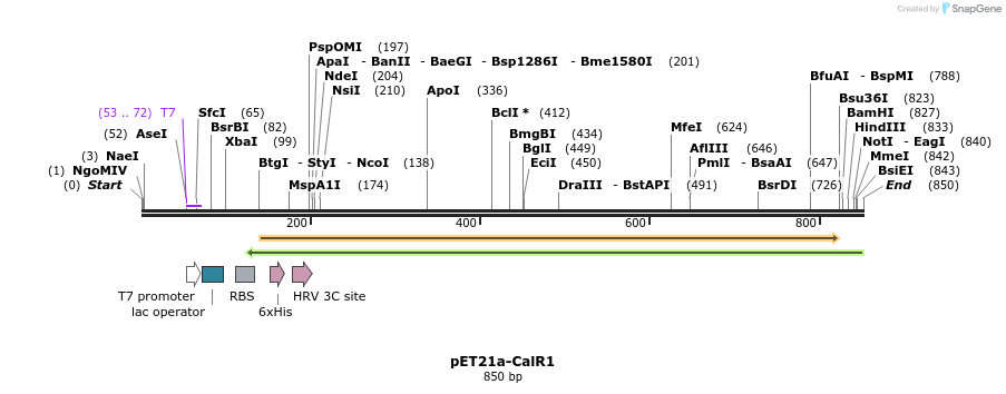 80239_map