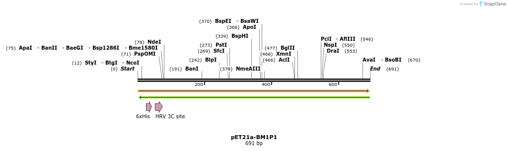 80242_map
