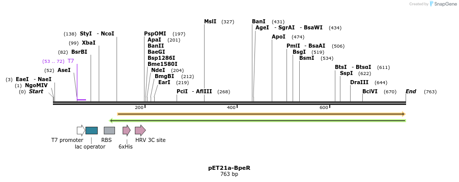 80245_map