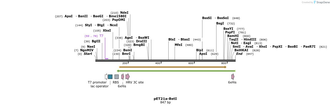 80246_map