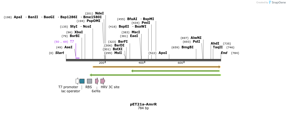 80247_map