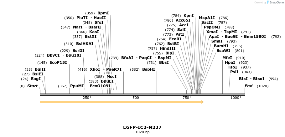 80250_map