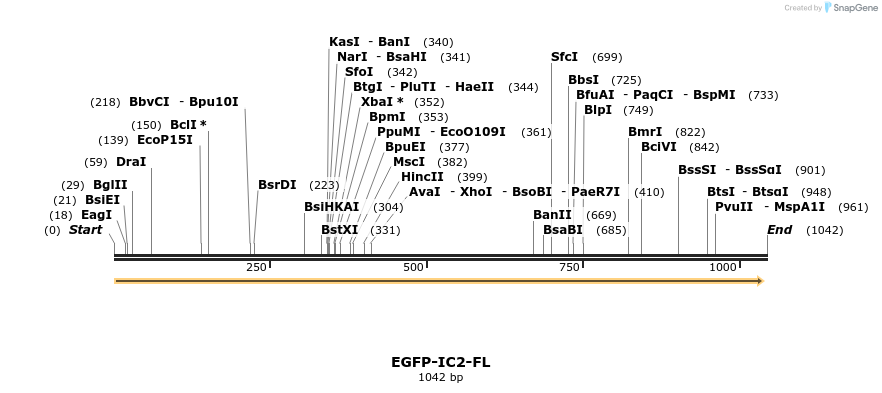 80254_map