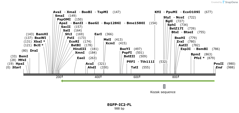 80256_map
