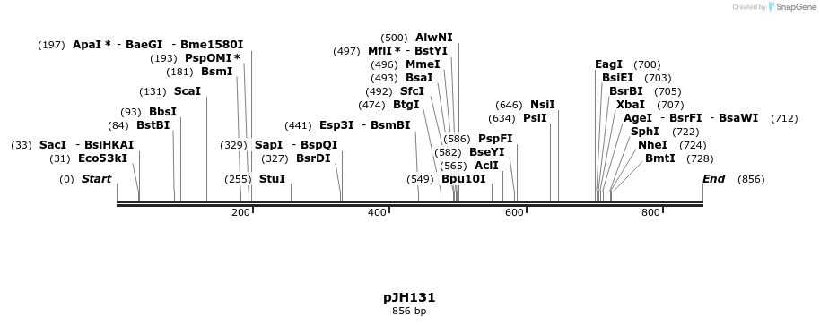 80259_map