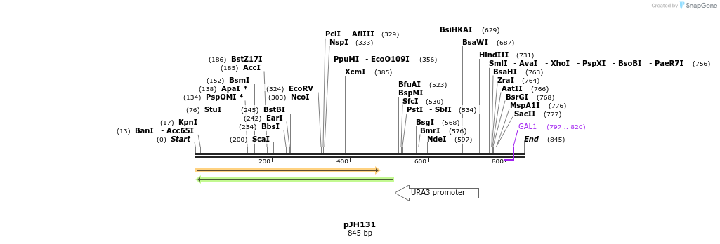 80260_map