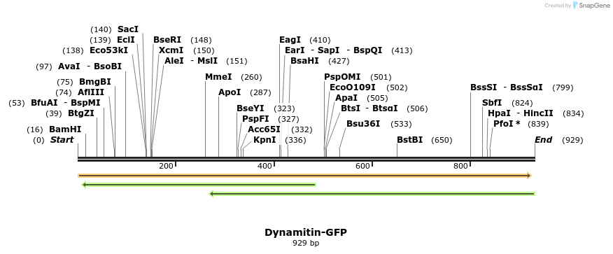80261_map