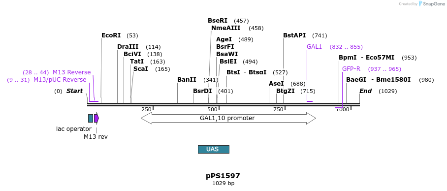 80262_map