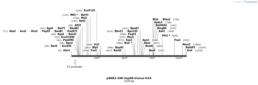 80273_map