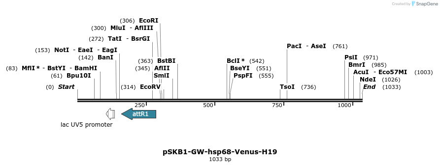 80274_map