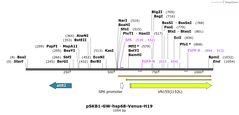 80275_map