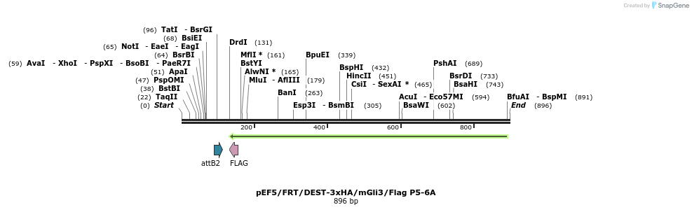 80291_map