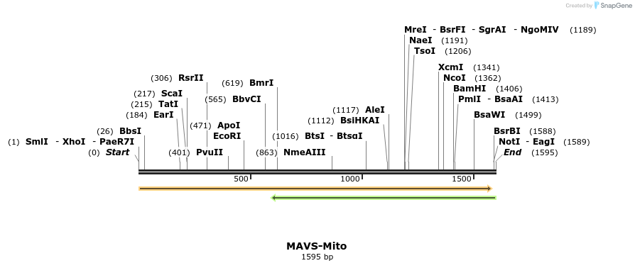 80307_map