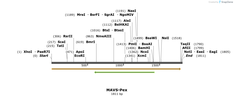 80308_map