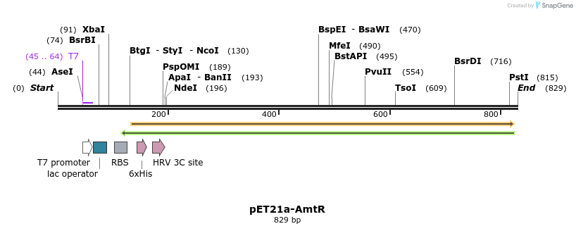 80310_map