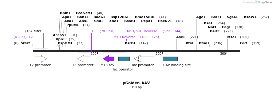 80312_map