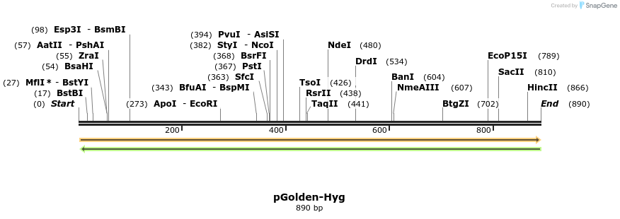 80313_map
