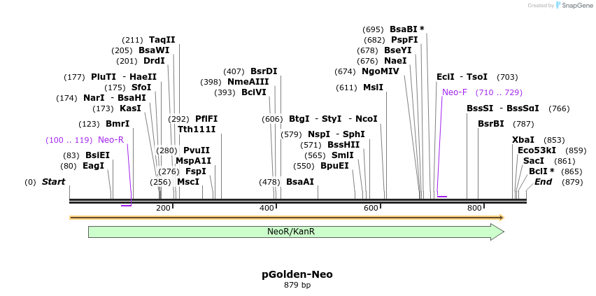 80314_map