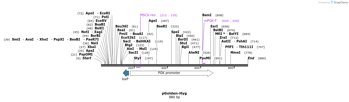 80319_map