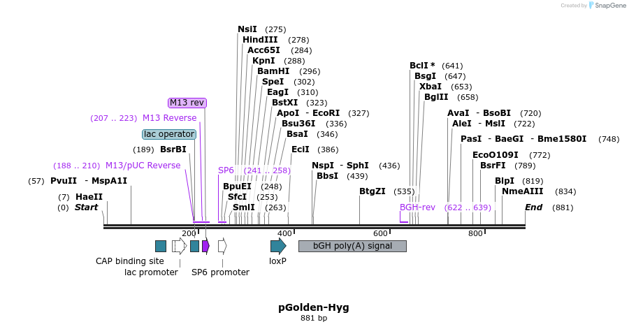 80320_map