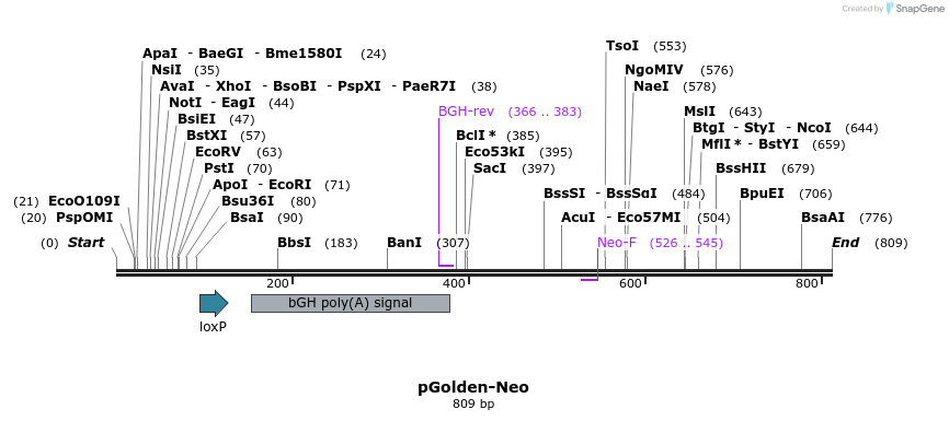 80321_map