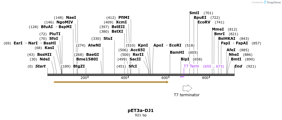80324_map
