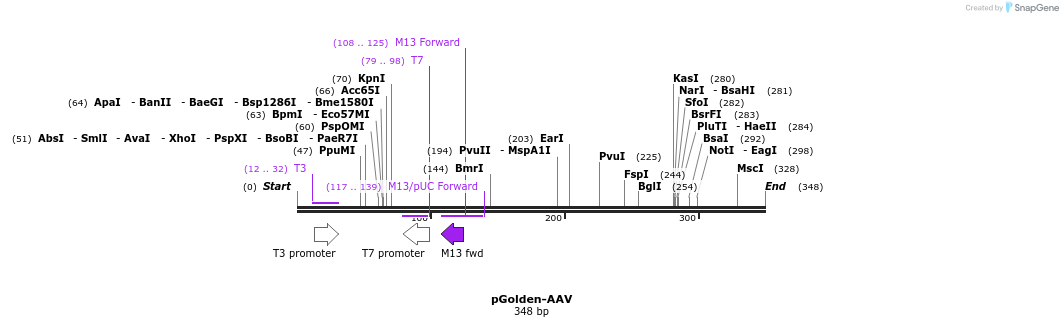 80325_map