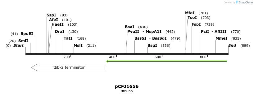 80334_map