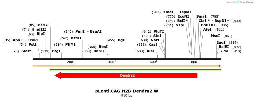 80342_map