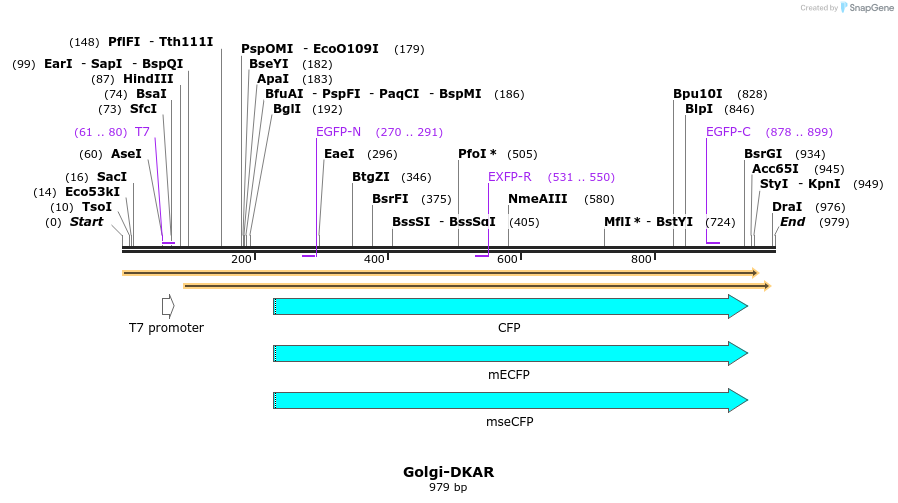 80350_map