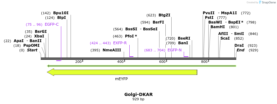 80351_map