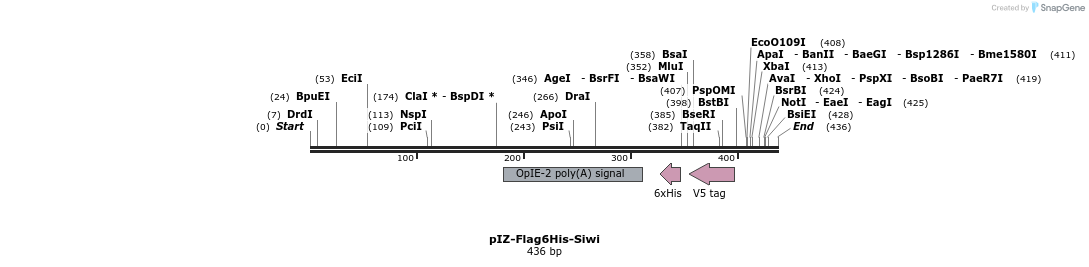 80355_map