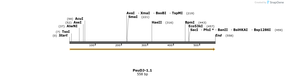 80363_map