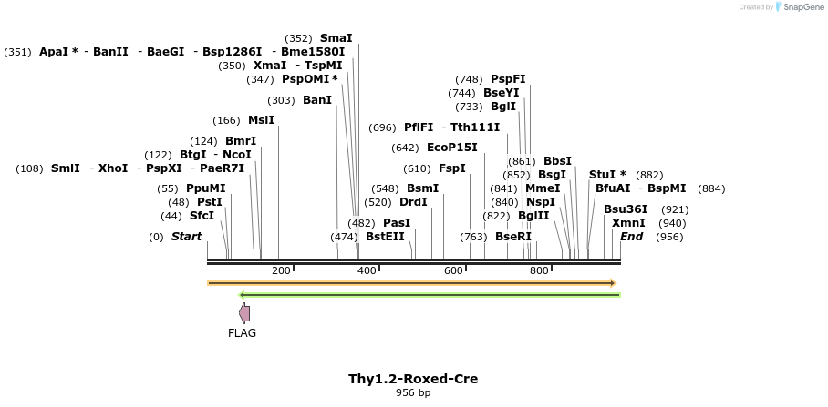 80368_map